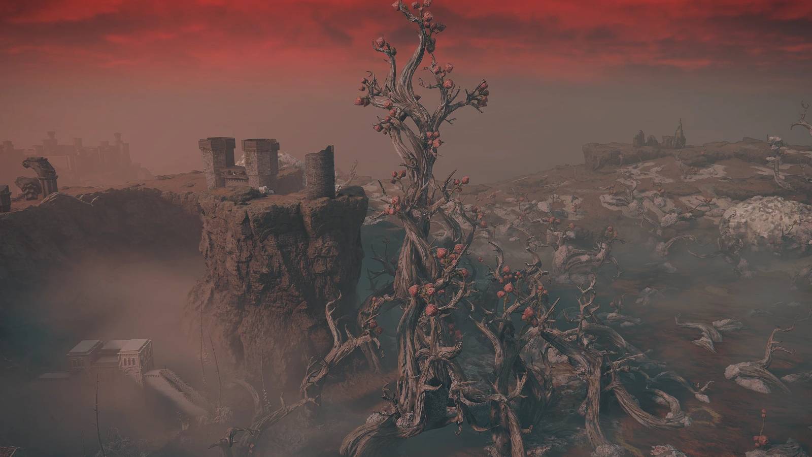 Elden Ring Swamp of Aeonia