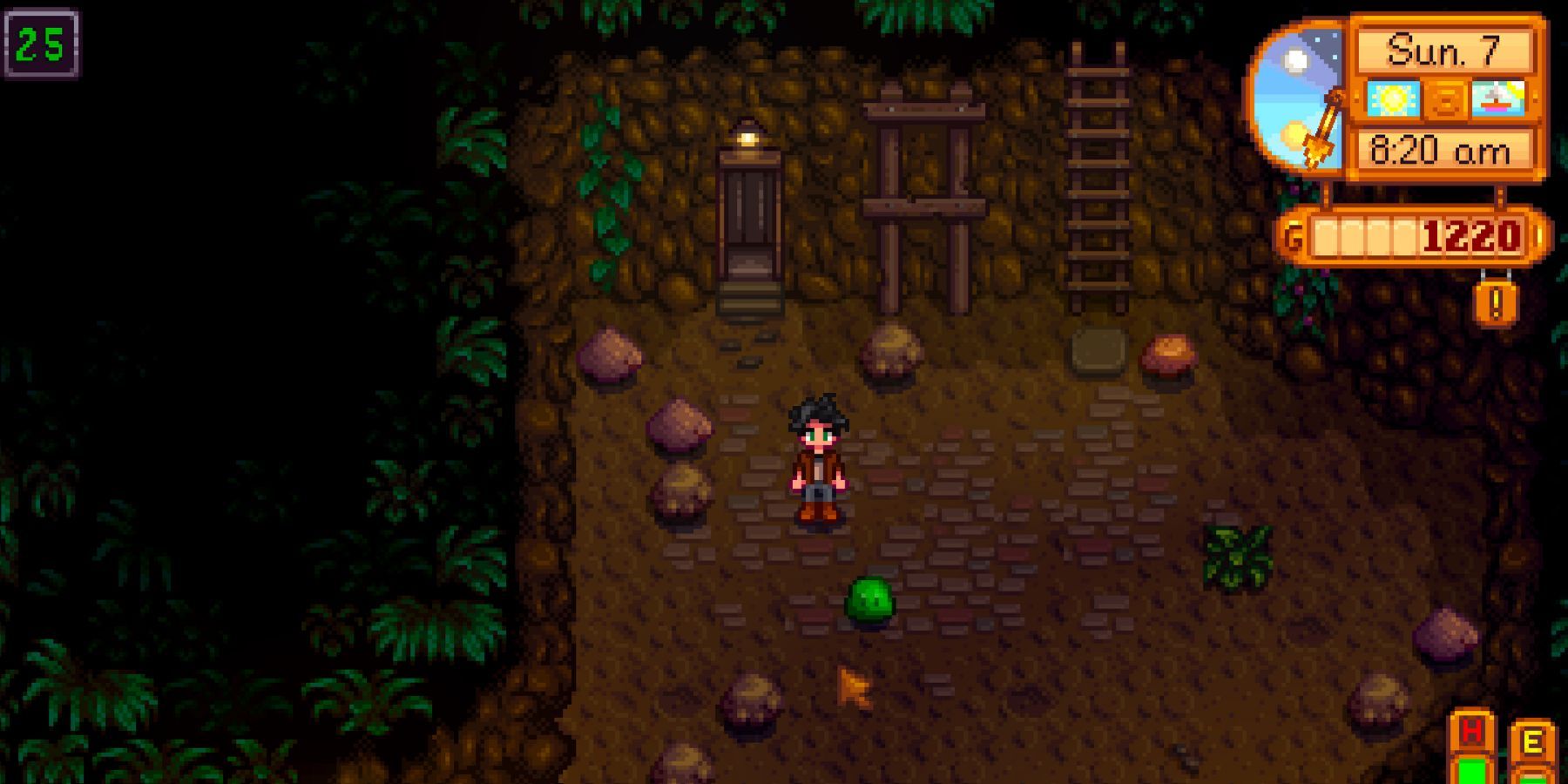 Cave in Stardew Valley