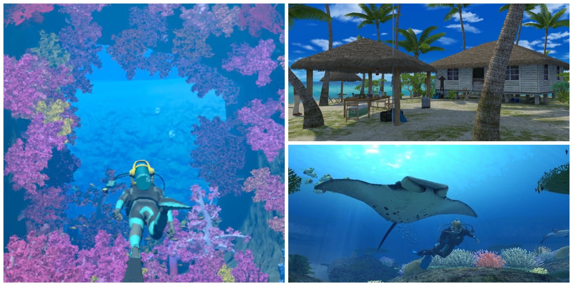 Left: A diver in a coral reef. Top-right: A small beach island with palm trees, a hut, and a canopy. Bottom-Right: A diver swimming with a manta ray.