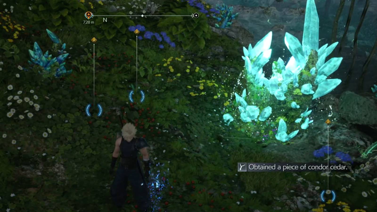 Ff7 R Condor Final Fantasy 7 Rebirth: How to Get Condor Cedar