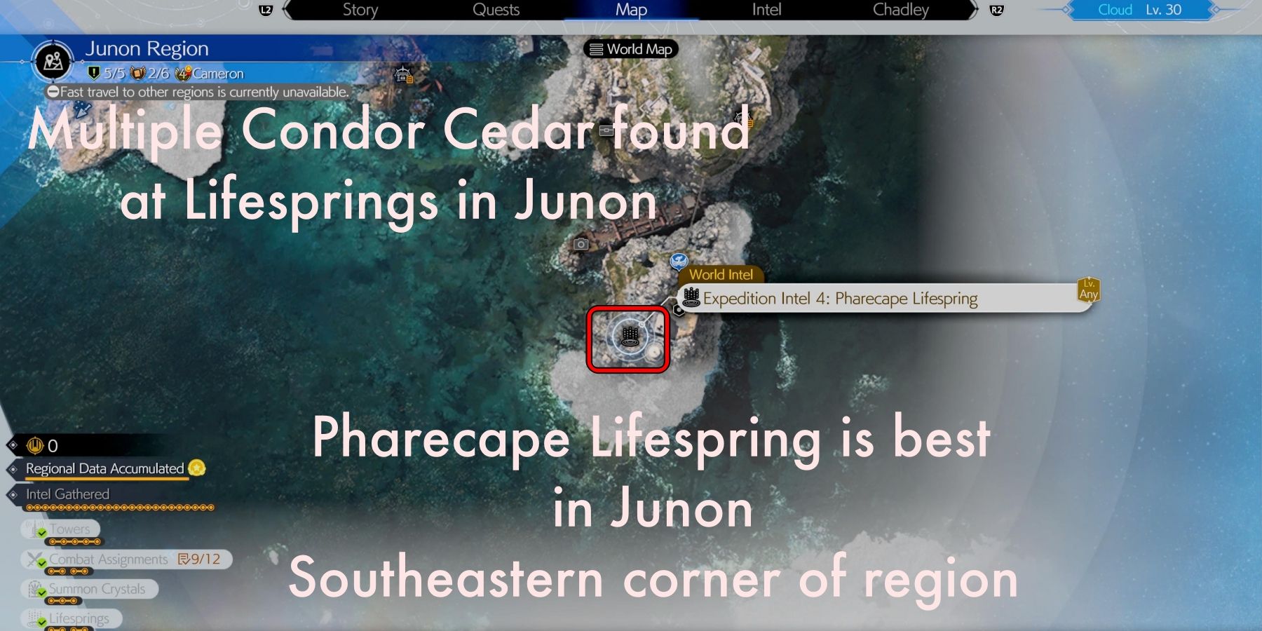 Final Fantasy 7 Rebirth: How to Get Condor Cedar