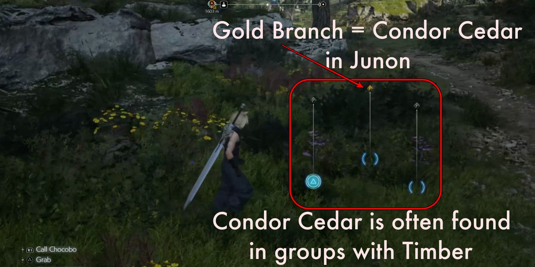 Final Fantasy 7 Rebirth: How to Get Condor Cedar