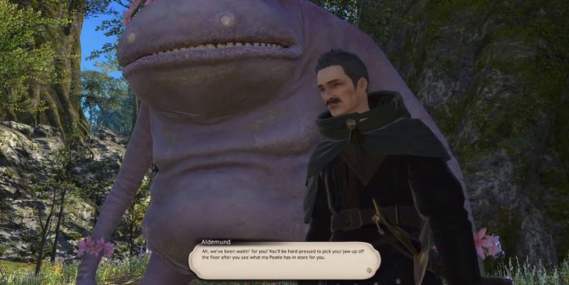 Speaking to Aldemund in Final Fantasy 14