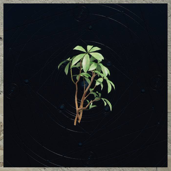 final-fantasy-7-rebirth-all-materials-baobab-wood