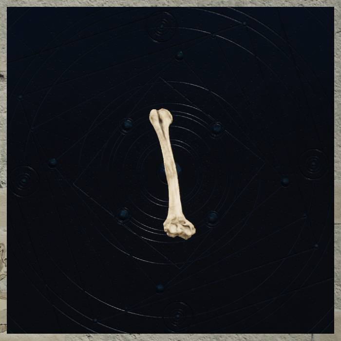 final-fantasy-7-rebirth-all-materials-beast-bone