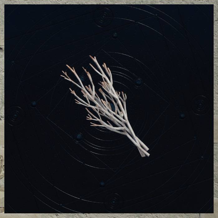 final-fantasy-7-rebirth-all-materials-gongaga-pine