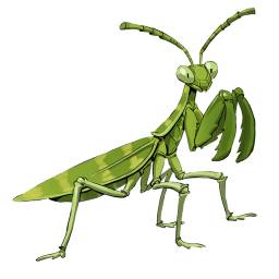 Garden_Mantis