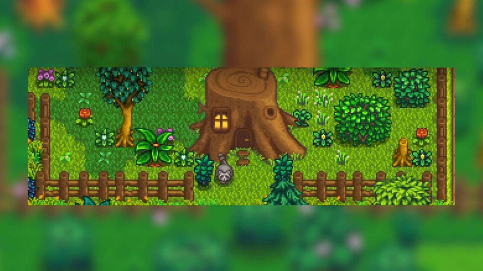 the raccoon in front of the giant stump in stardew valley.