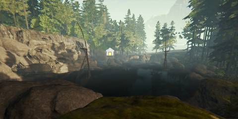 Goose Lake In The Forest