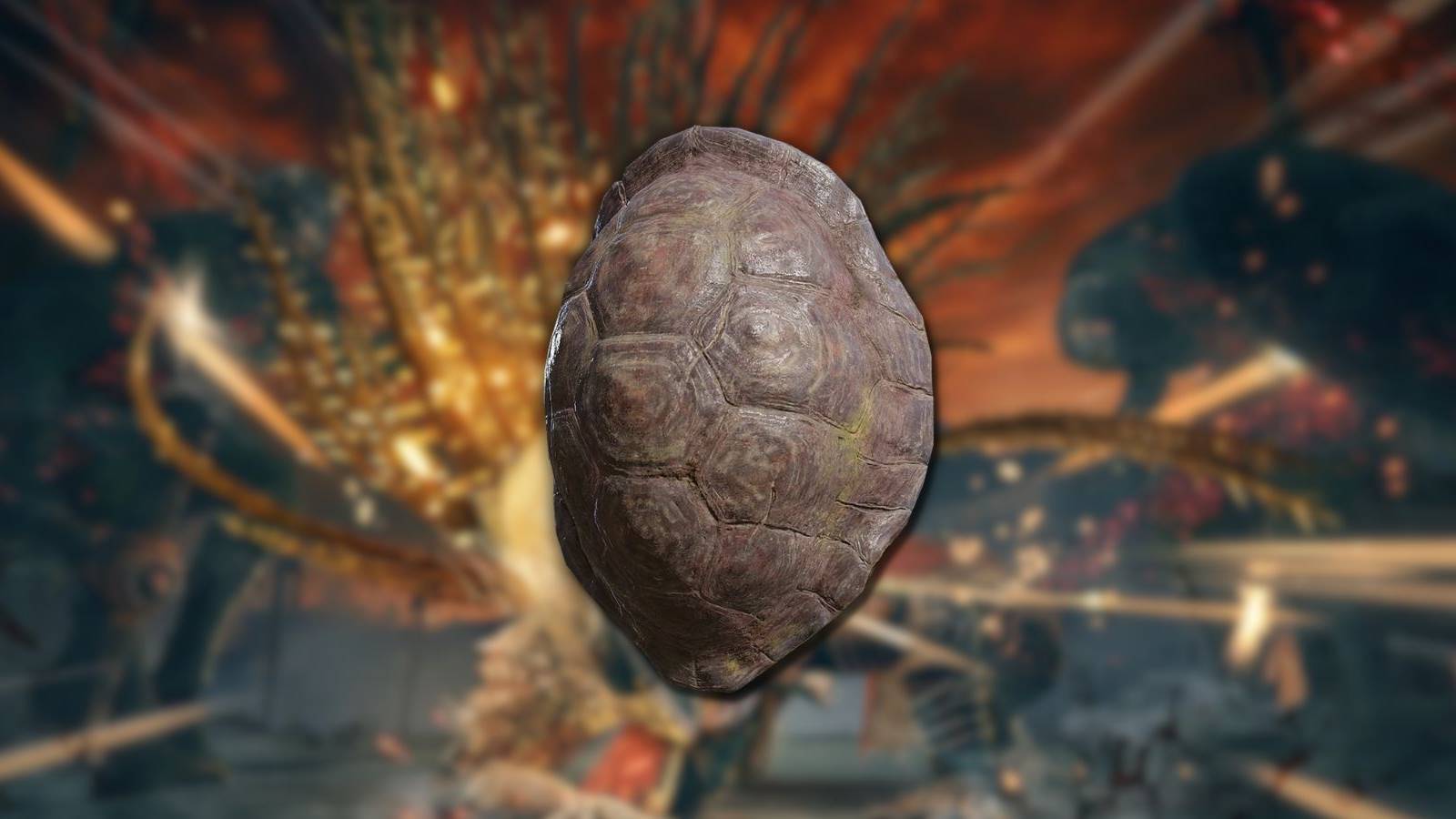 Elf Turtle Shell Elden Ring: How To Get Great Turtle Shell
