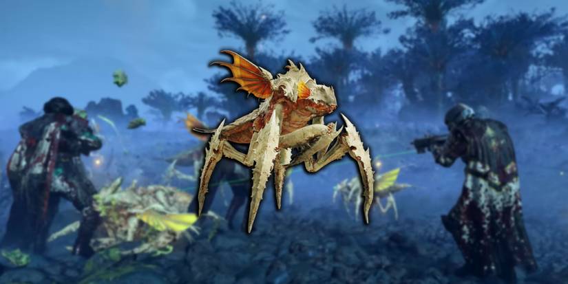 Helldivers 2 - Hunter