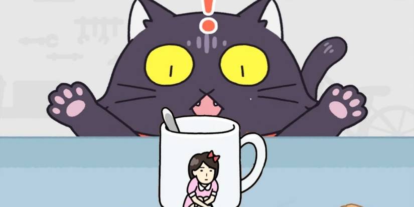 Hide and Seek Cat Escape!