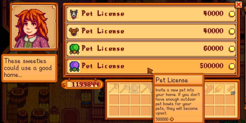 How To Get A Turtle Pet In Stardew Valley