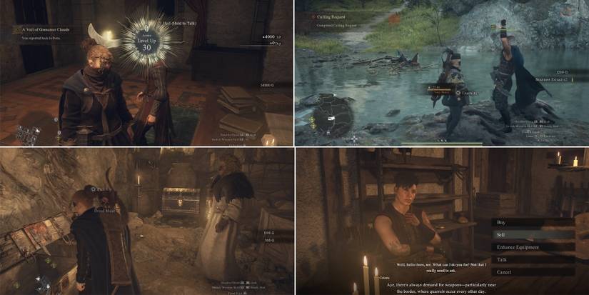 how to get gold fast in dragons dogma 2-1