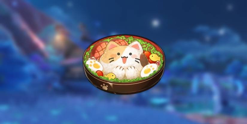 invigorating kitty meal