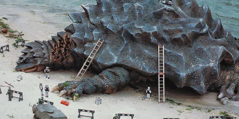 Kamoebas washes ashore dead in the beach.