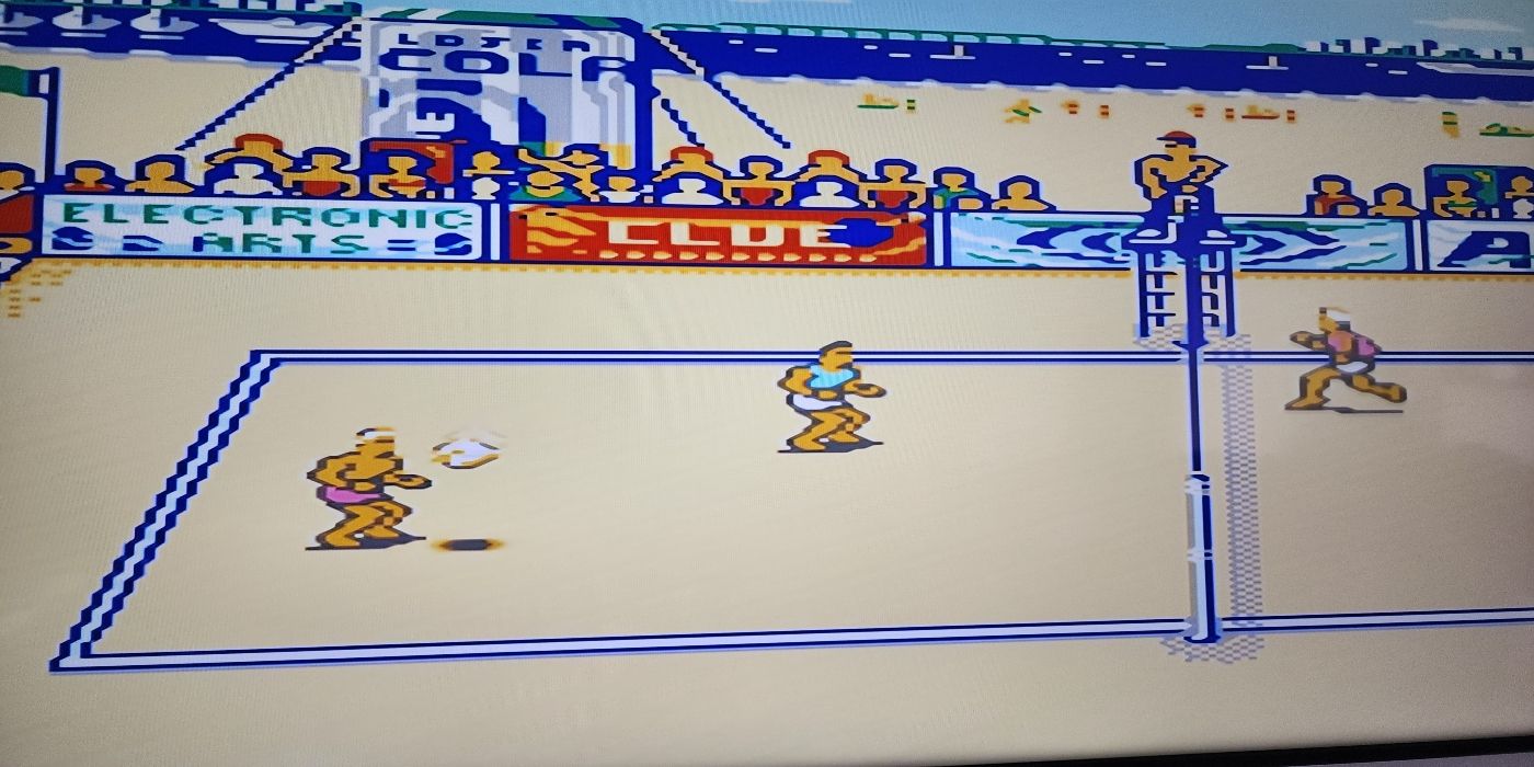 Kings of the Beach, video game on the NES