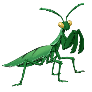 Leafstalker_Mantis