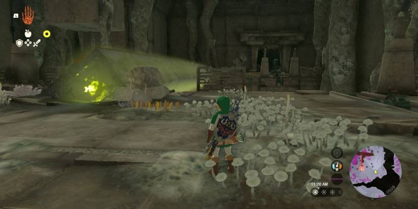 Link in the Right Arm Depot of the Construct Factory.