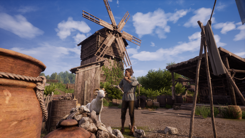 medieval-dynasty-coop-14