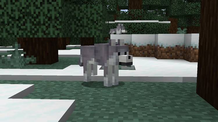 New Wolves Variants Minecraft Minecraft's New Wolf Variants are a Bittersweet Addition