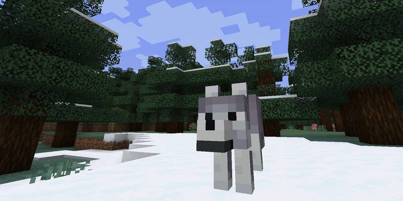 Minecraft Wolf Ashen