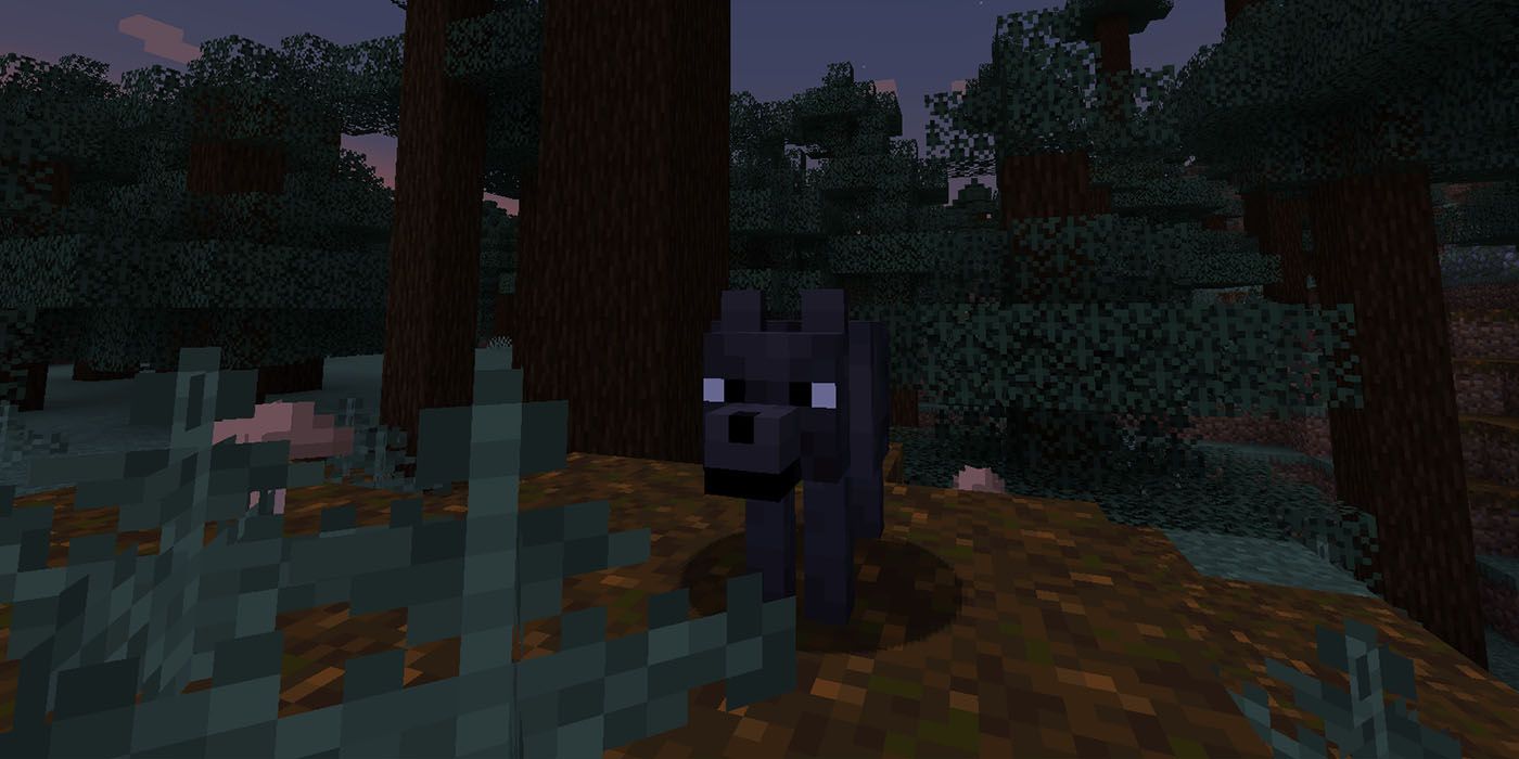 Minecraft Wolf Black