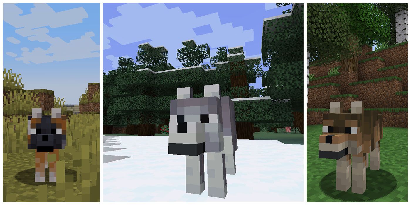 Minecraft Wolf Skins