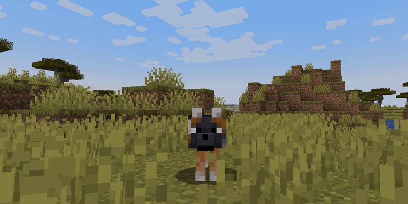 Minecraft Wolf Spotted