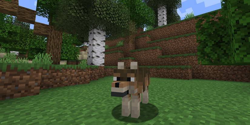 Minecraft Wolf Woods