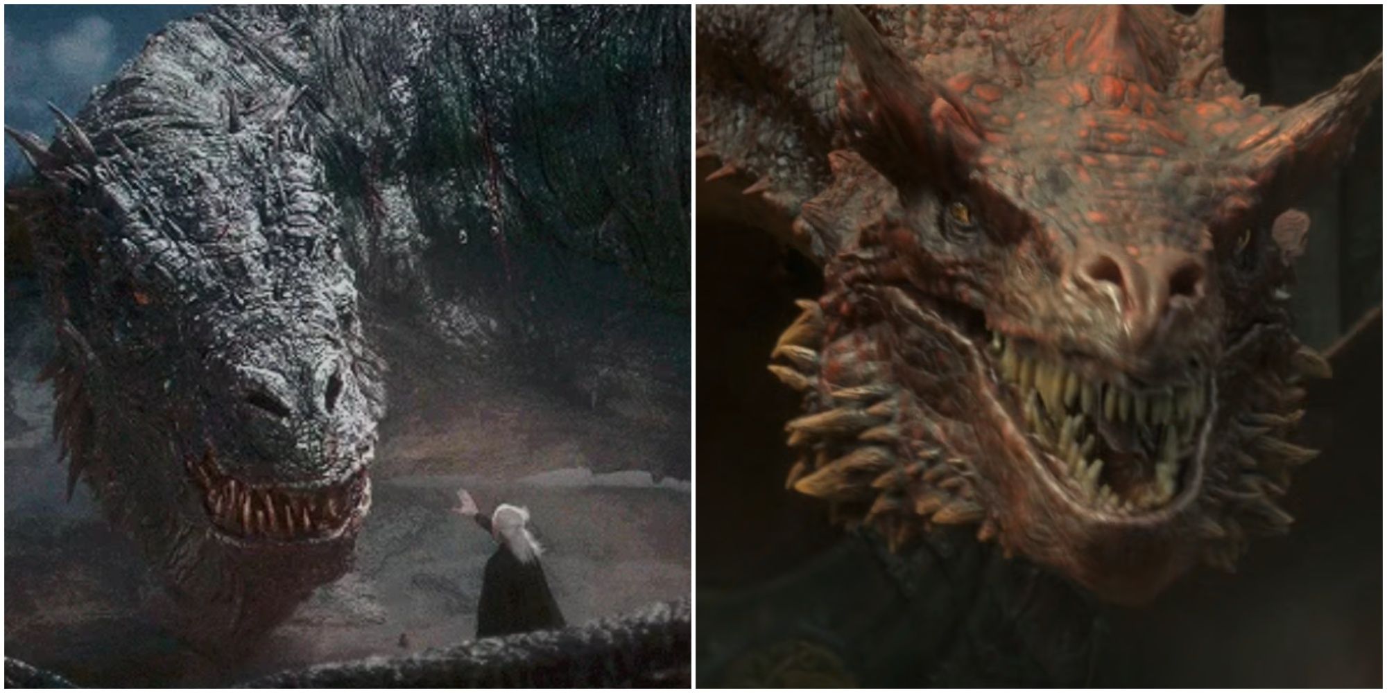 Split image of Vhagar and Aemond and Caraxes in House of the Dragon.