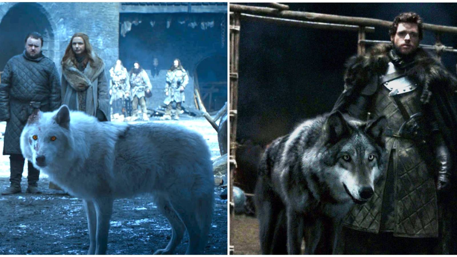 Split image of Samwell Tarly Gilly Ghost and Grey Wind with Robb Stark in Game of Thrones.