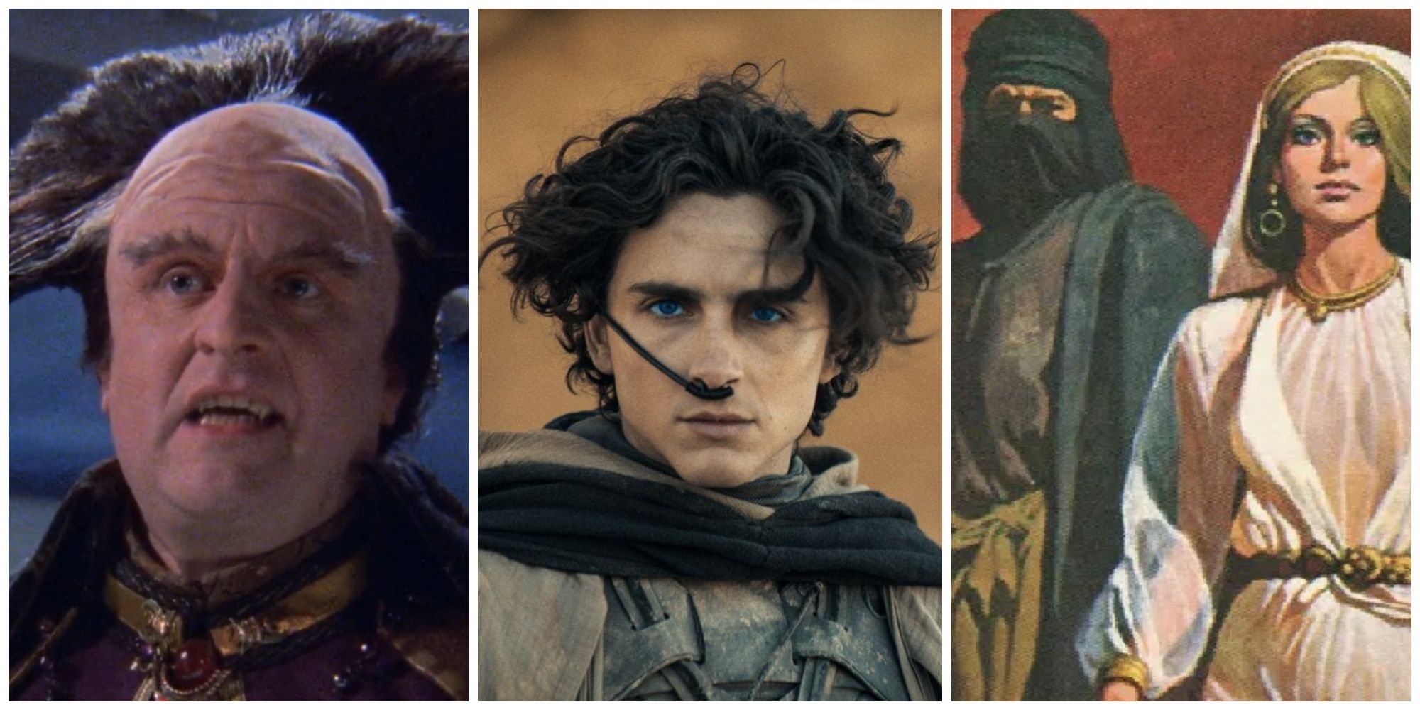 Split image showing Timothee Chalamet from Dune in the middle, flanked by images from Babylon 5 and The Faded Sun trilogy.