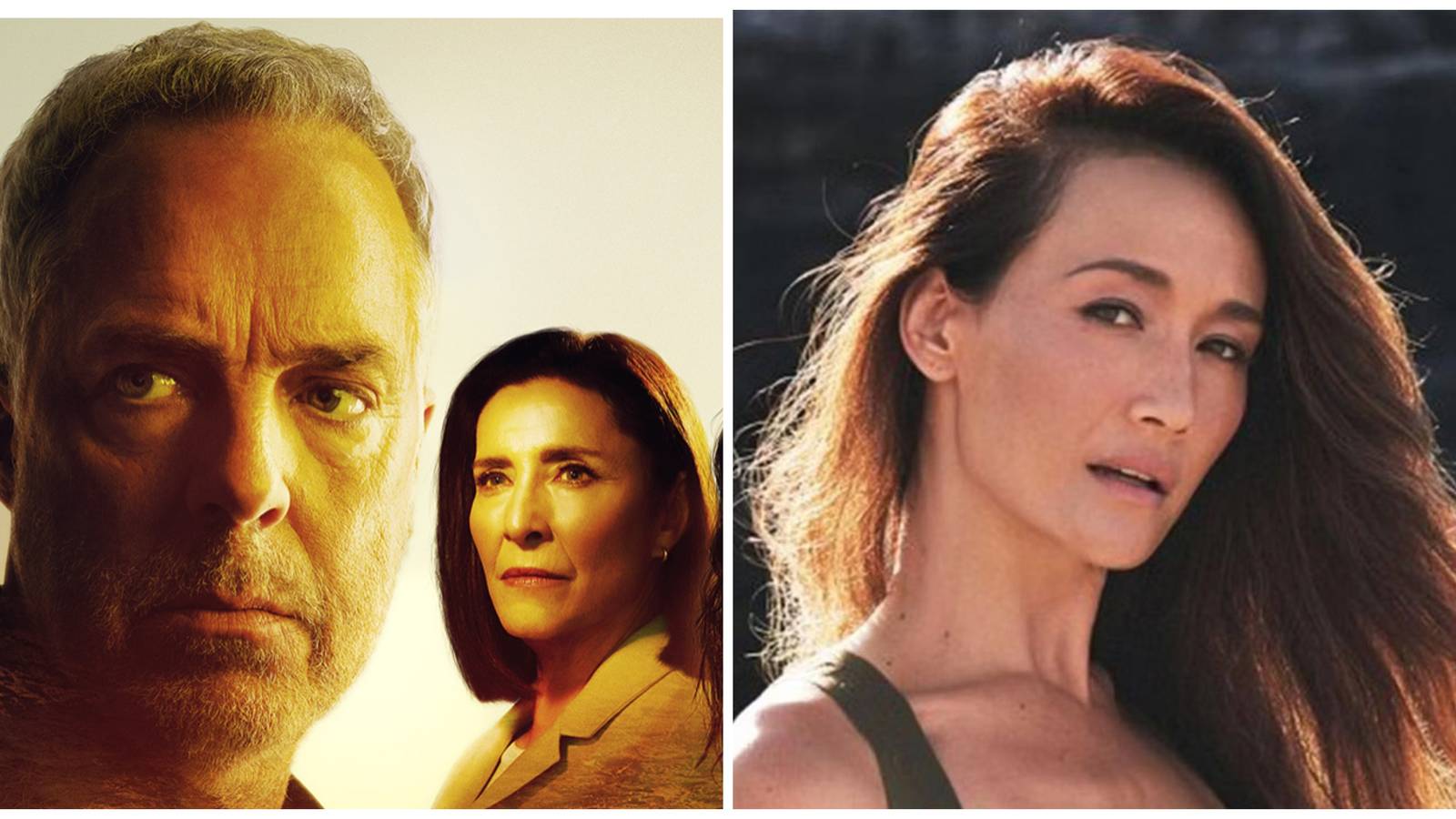 bosch/chandler/ballard