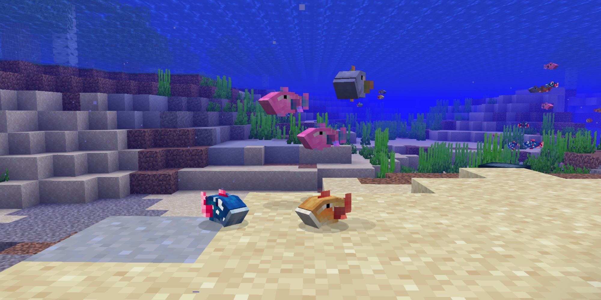 Changes for Oceans in Minecraft - More sea life