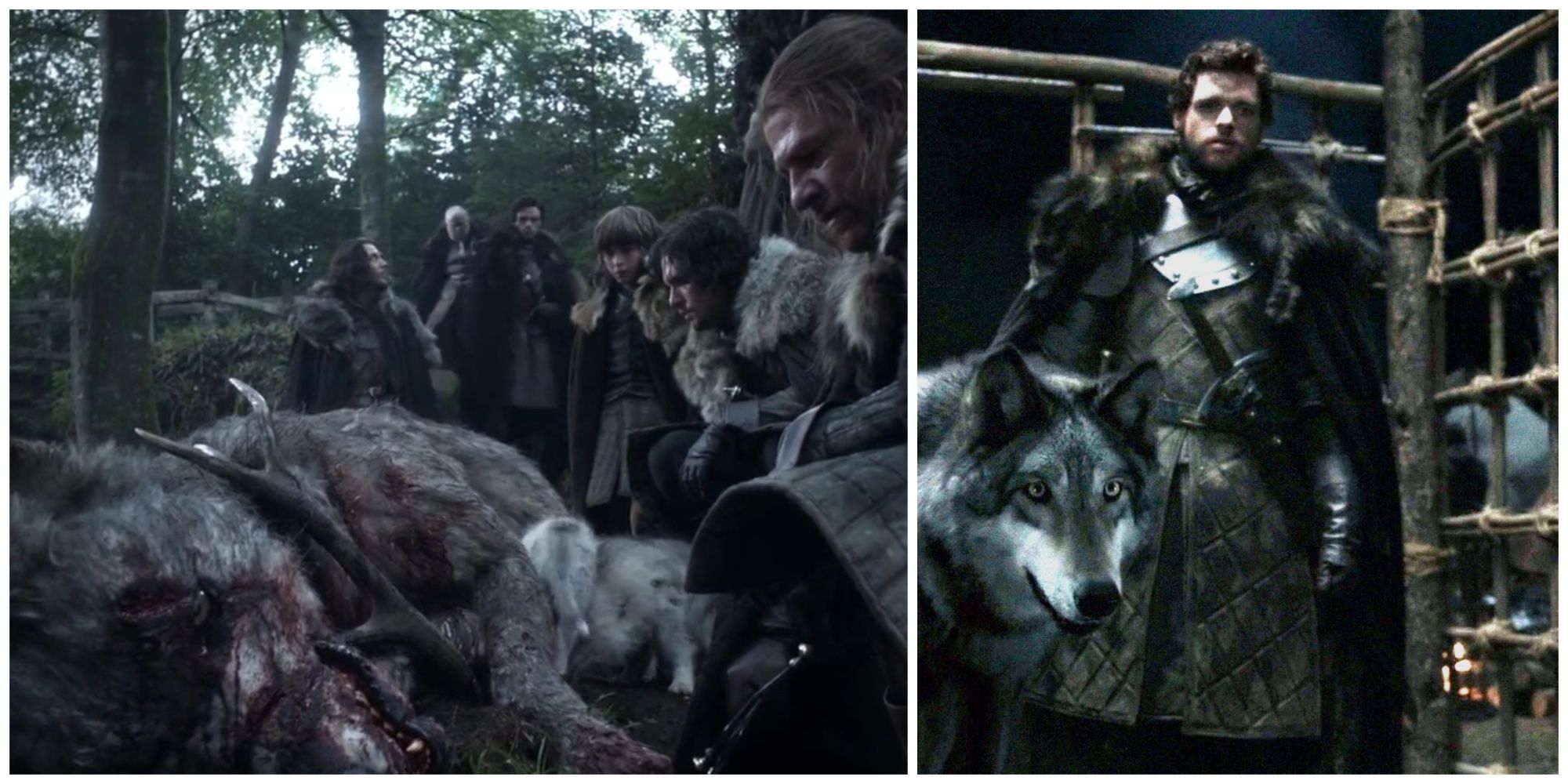 The Starks discover a dead female Direwolf and Grey Wind and Robb Stark in Game of Thrones. 