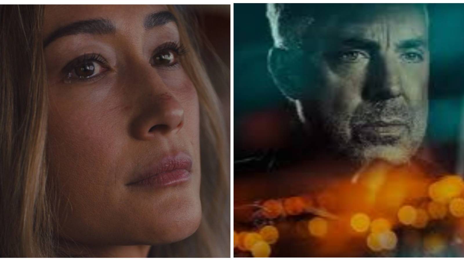 renee ballard/harry bosch