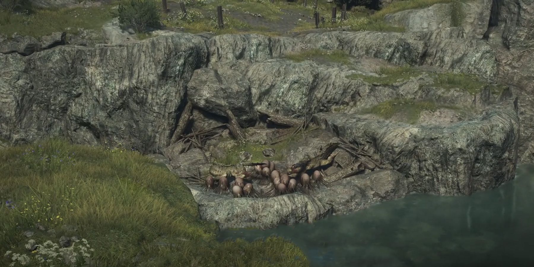 nesting troubles quest in dragons dogma 2