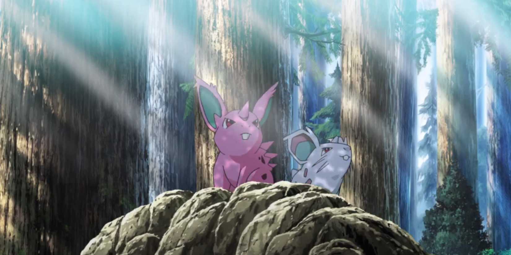 Nidoran Male And Female In The Pokemon Anime