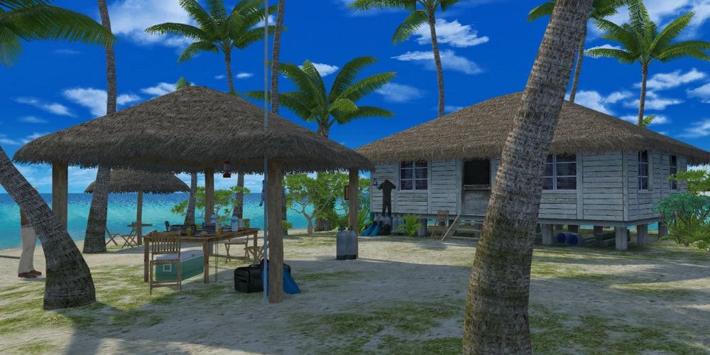 A small island with a thatched hut, a thatched canopy, and palm trees. Image source: EndlessOcean.fandom.com