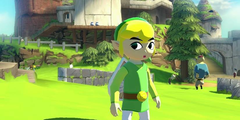 link standing in a field in the wind waker