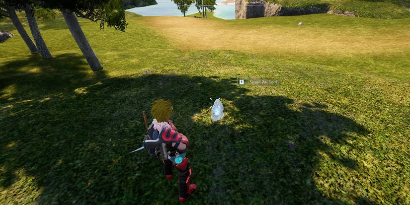 Finding a Small Pal Soul on the ground in Palworld