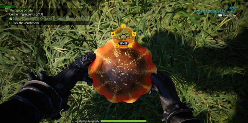 Final Fantasy 7 Rebirth: The Spice of Life How To Pick Mushrooms
