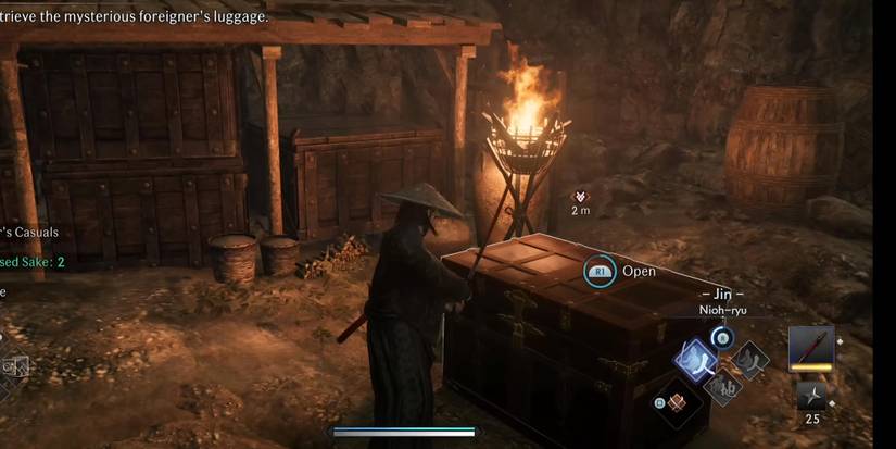 Rise of the Ronin: The Black Jewel Walkthrough