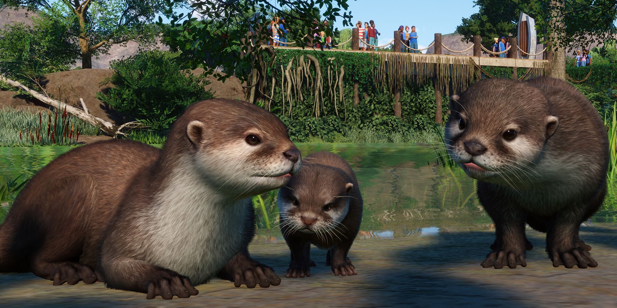 Asian Small-Clawed Otter in Planet Zoo 