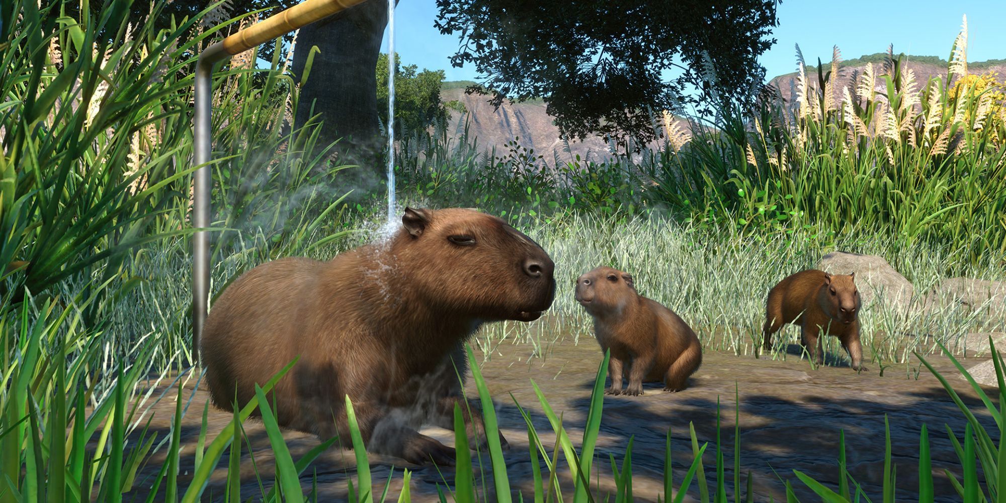 Three resting capybaras in Planet Zoo