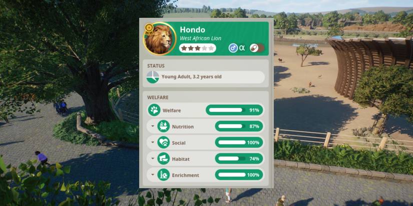 Planet Zoo How To Make Animals Happy