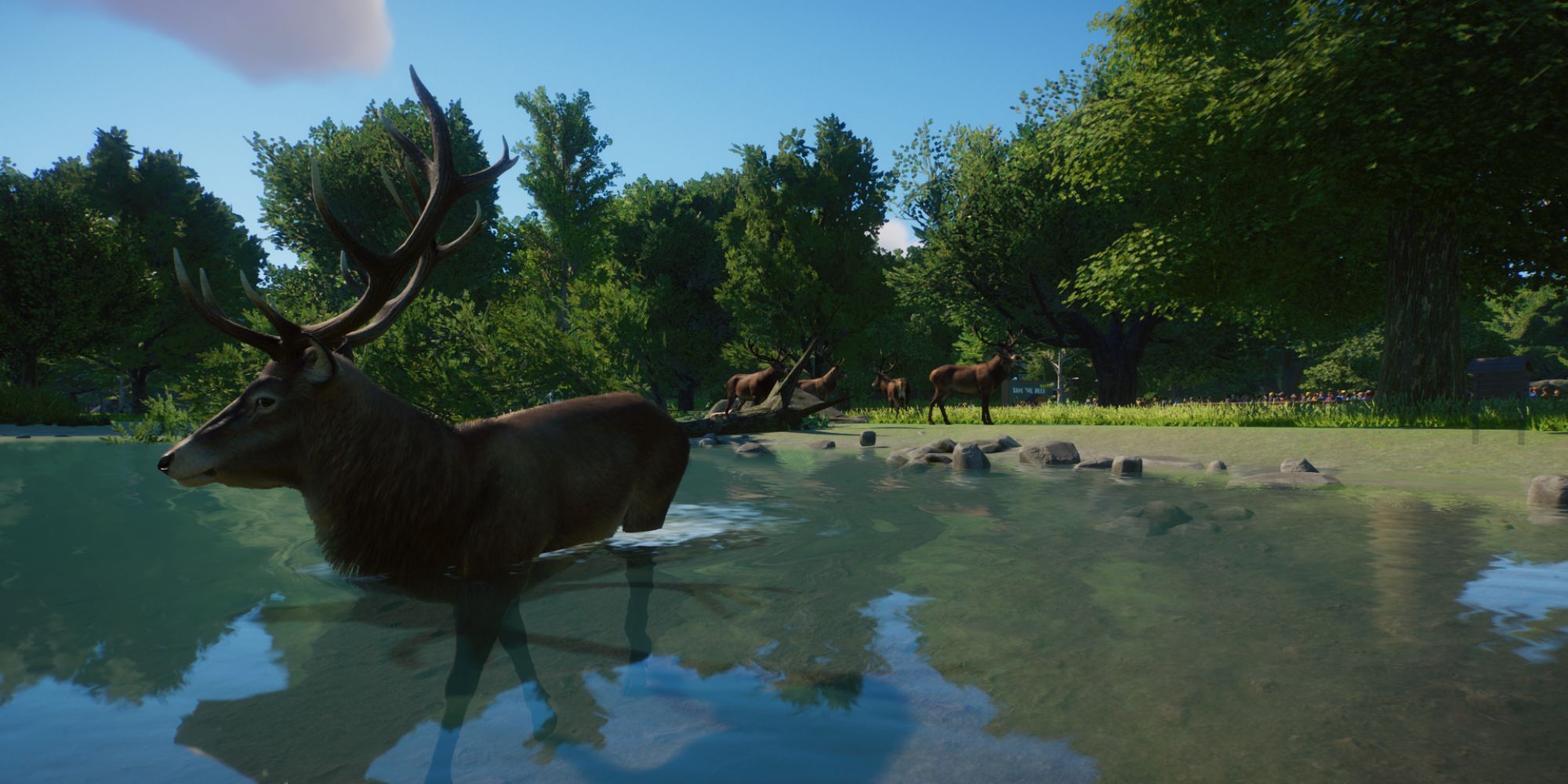 Planet Zoo Red Deer