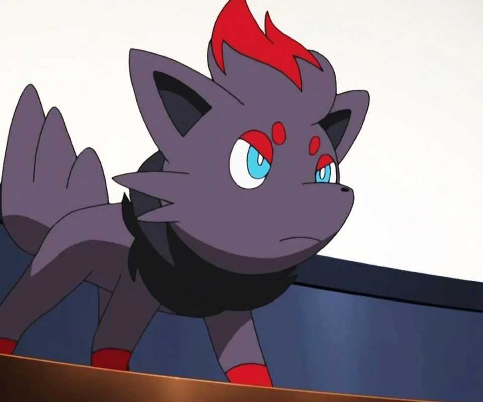 An image of Zorua from the Pokemon anime.
