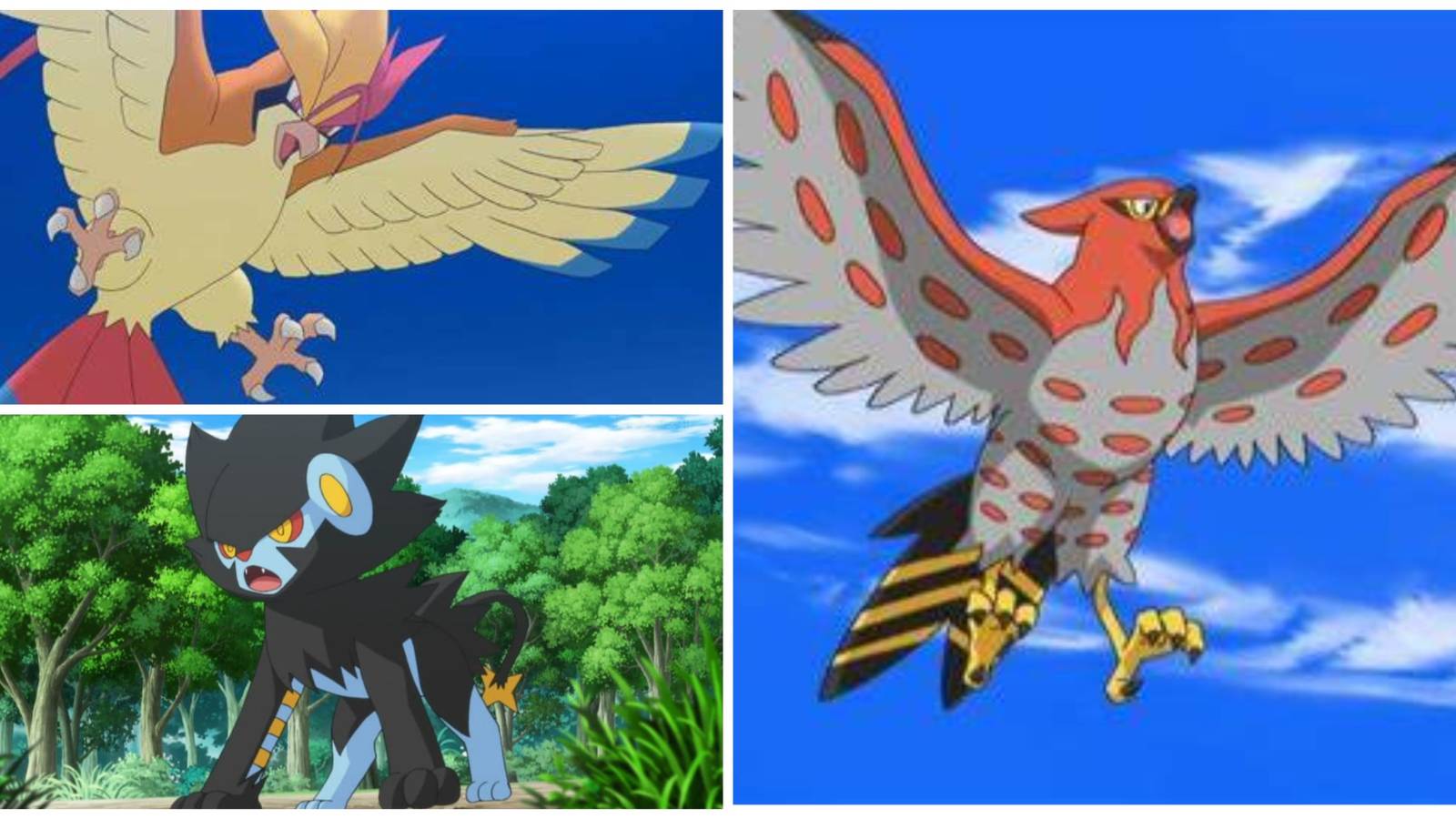 Pokemon Mega Pidgeot, Luxray, Talonflame